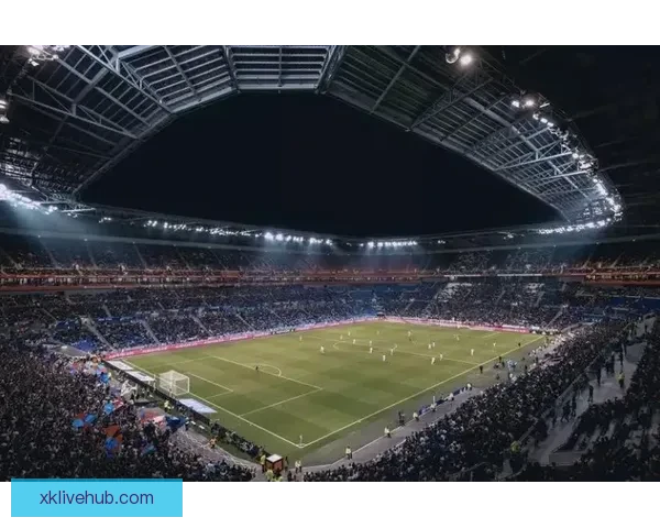 世界杯买球赔率深度解析及热门球队胜负趋势分析